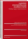 ebook Sądowe postępowanie egzekucyjne. Przebieg, organy, koszty komornicze - Kinga Flaga-Gieruszyńska,Jacek Gołaczyński,Joanna Studzińska,Aleksandra Klich,Zbigniew Woźniak