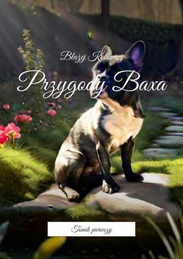 ebook Przygody Baxa