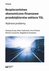 ebook Bezpieczeństwo ekonomiczno-finansowe przedsiębiorstw sektora TSL. Wybrane problemy - Natasza Duraj,Anna Misztal,Magdalena Kowalska,Michał Comporek,Adam Sadowski