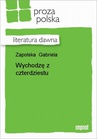 ebook Wychodzę Z Czterdziestu - Gabriela Zapolska