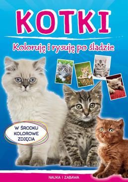 ebook Kotki. Koloruję i rysuję po śladzie