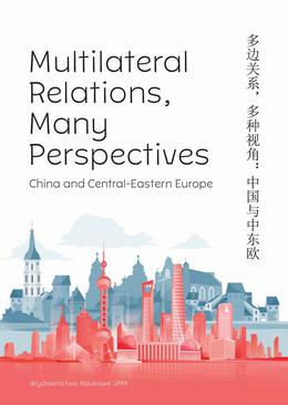 ebook Multilateral Relations, Many Perspectives