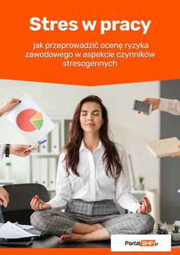 ebook Stres w pracy – jak przeprowadzić ocenę ryzyka zawodowego w aspekcie czynników stresogennych