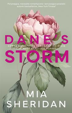 ebook Dane's Storm