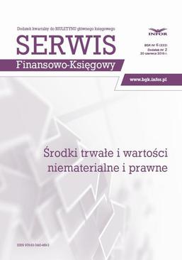 ebook Środki trwałe i wartości niematerialne i prawne