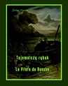 ebook Tajemniczy rybak - Le Pilote du Danube - Jules Verne