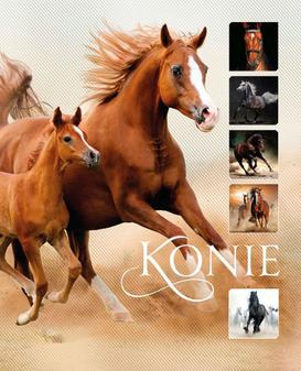 ebook Konie