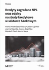 ebook Kredyty zagrożone NPL oraz odpisy na straty kredytowe w sektorze bankowym - Joanna Stawska,Czesław Lipiński,Wojciech Zatoń,Iwona Dorota Czechowska,Joanna Stępińska,Marcin Borys