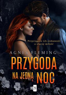 ebook Przygoda na jedną noc