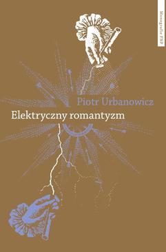 ebook Elektryczny romantyzm