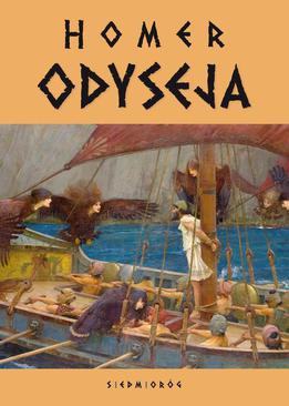 ebook Odyseja