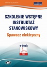 ebook Szkolenie wstępne Instruktaż stanowiskowy Spawacz elektryczny - Bogdan Rączkowski