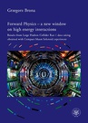 ebook Forward Physics - a new window on high energy interactions - Grzegorz Brona