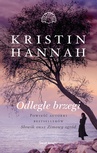 ebook Odległe brzegi - Kristin Hannah