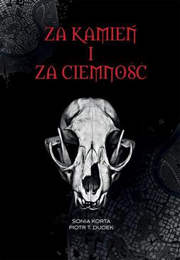 ebook Za kamień i za ciemność