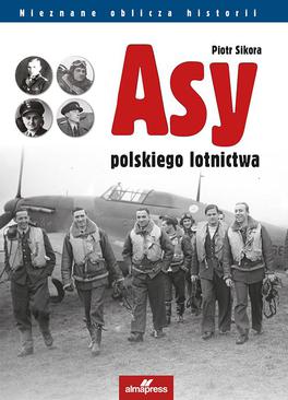 ebook Asy polskiego lotnictwa