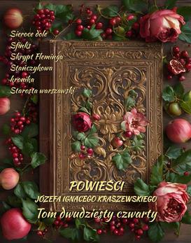 ebook Powieści Józefa Ignacego Kraszewskiego. Tom 24