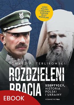 ebook Rozdzieleni bracia