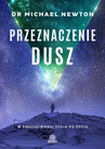 ebook Przeznaczenie dusz - dr Michael Newton