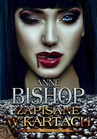 ebook Zapisane w kartach - Anne Bishop