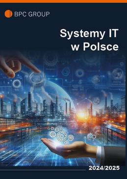 ebook Systemy IT w Polsce