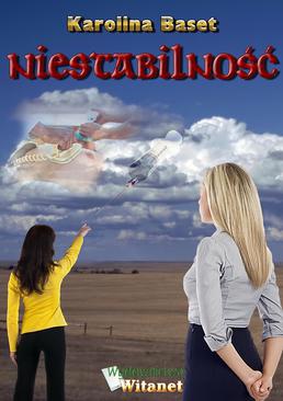 ebook Niestabilność