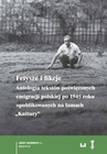 ebook Fetysze i fikcje. Antologia tekstów poświęconych emigracji polskiej po 1945 r. opublikowanych na łamach „Kultury” - Rafał Stobiecki,Aleksandra Sylburska