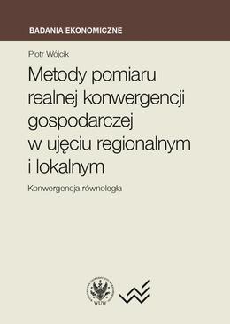 ebook Metody pomiaru realnej konwergencji gospodarczej w ujęciu regionalnym i lokalnym