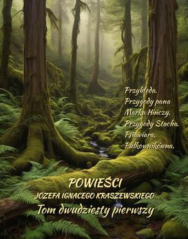 ebook Powieści Józefa Ignacego Kraszewskiego. Tom 21