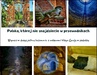 ebook Polska, której nie znajdziecie w przewodnikach - Przemysław Graf,Kinga Matelska- Graf