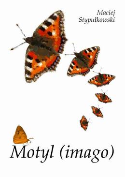 ebook Motyl (image)