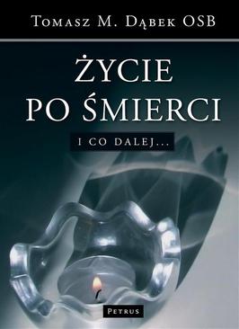 ebook Życie po śmierci I co dalej