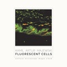 ebook Fluorescent cells. Confocal microscope images album - Kamil Artur Majewski