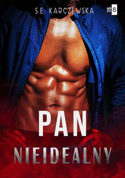 ebook Pan nieidealny