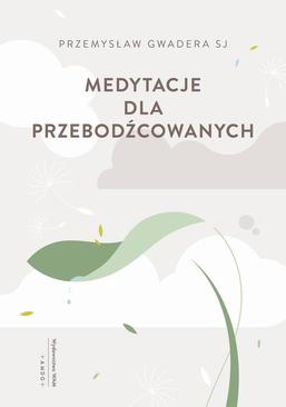 ebook Medytacje dla przebodźcowanych