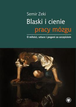 ebook Blaski i cienie pracy mózgu