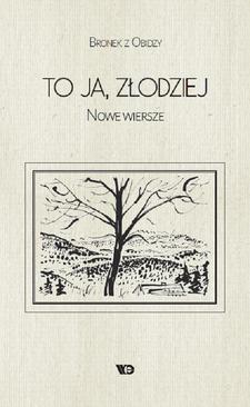 ebook To ja, złodziej