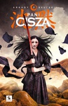 ebook Pani Cisza - Arkady Saulski