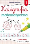 ebook Kaligrafia matematyczna 1. Ładnie piszę - Beata Guzowska