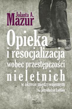 ebook Opieka i resocjalizacja wobec przestępczości nieletnich