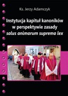 ebook Instytucja kapituł kanoników w perspektywie zasady salus animarum suprema lex - Jerzy Adamczyk