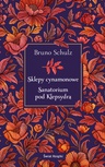 ebook Sklepy cynamonowe. Sanatorium pod Klepsydrą - Bruno Schulz