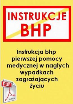 ebook Instrukcja przy udzielaniu pierwszej pomocy w nagłych przypadkach zagrażających życiu