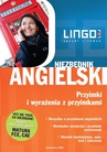 ebook Niezbędnik angielski. Przyimki i wyrażenia z przyimkami - Anna Treger