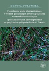 ebook Pochodzenie węgla nieorganicznego w wodach podziemnych strefy hipergenezy w warunkach naturalnych - Dorota Porowska