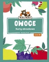 ebook Karty obrazkowe. Owoce - 