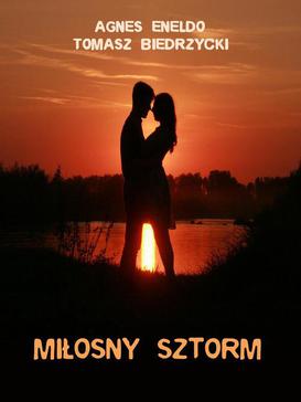 ebook Miłosny sztorm