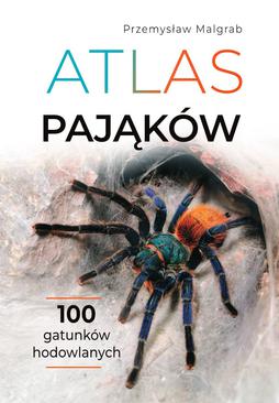 ebook Atlas pająków
