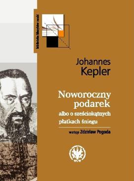 ebook Noworoczny podarek albo o sześciokątnych płatkach śniegu