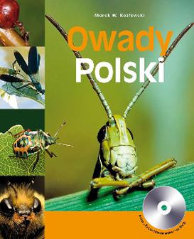 ebook Owady Polski, tom I